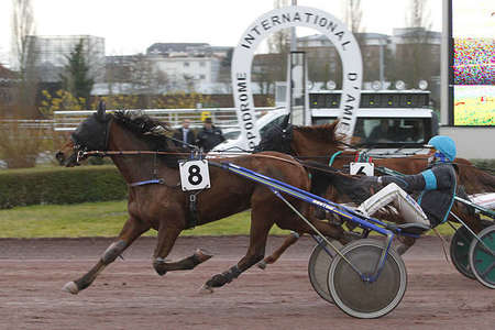 Actualités Hippiques